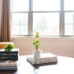 investir-dans-limmobilier-pour-debuter-facilement
